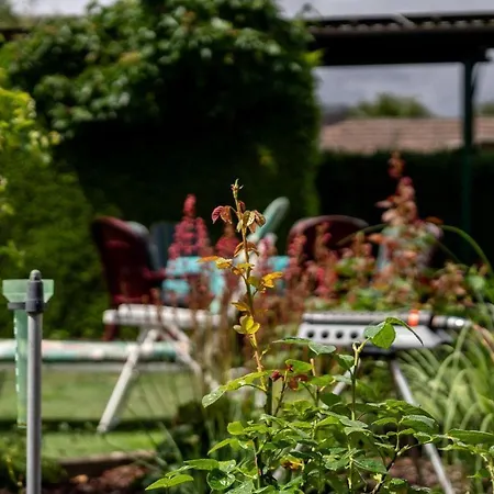 Lejlighed Ferienwohnung-mit-gartenblick