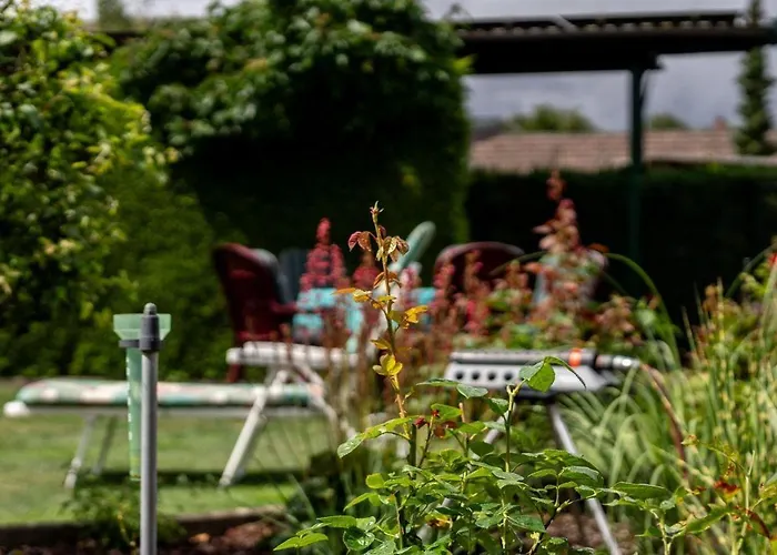 Appartamento Ferienwohnung-mit-gartenblick